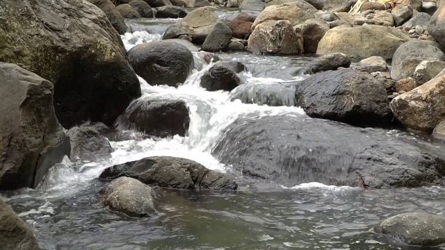 Sound of Mountain Rivers and Forest Birds singing, very relaxing morning смотреть онлайн