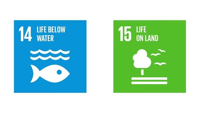 Scale and Scope of the SDGs смотреть онлайн