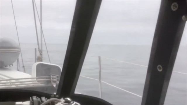 Santa Cruz Island Pelican, B&R смотреть онлайн