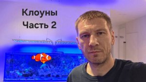 История моих клоунов. Часть 2