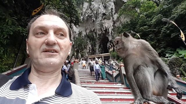 Селфи не понравилось. смотреть онлайн