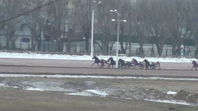 Московский ипподром. Бега. 19.03.17. Заезд 6(112) смотреть онлайн