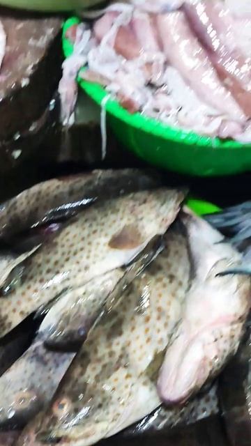 di awali dengan yg manis-manis...😍😁 смотреть онлайн