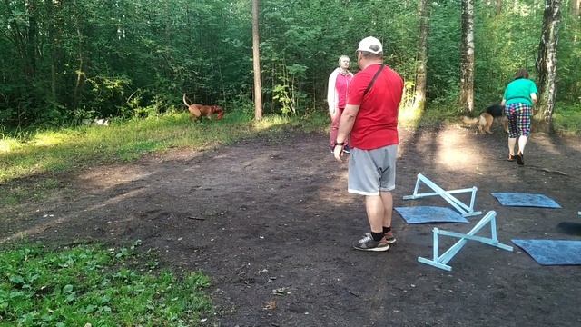 КМС - 294 (вк-126). смотреть онлайн