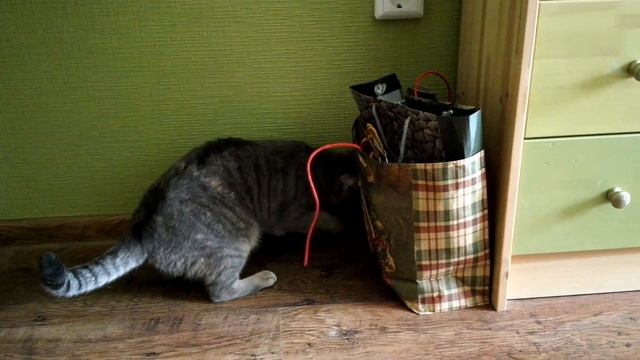 Play the game #сима смотреть онлайн