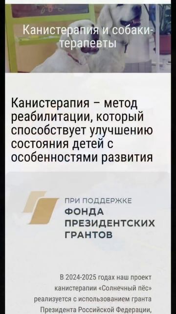 Канистерапия или зоотерапия, собаки-помощники. Собаки лечат #собака #акита смотреть онлайн