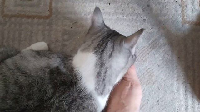 Соизволили приехать наконец то смотреть онлайн