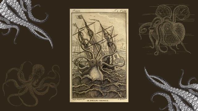 The Kraken Crab, Starfish, Squid, Octopus Oh My!