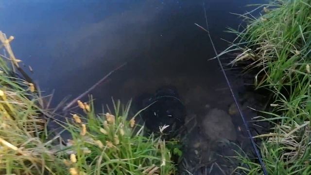 Рыбалка 4.05.19 вечерний результат смотреть онлайн