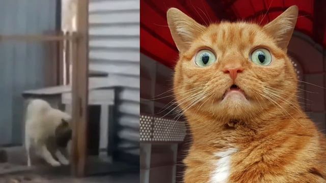 Эх, СУББОТОЧКА!! смотреть онлайн