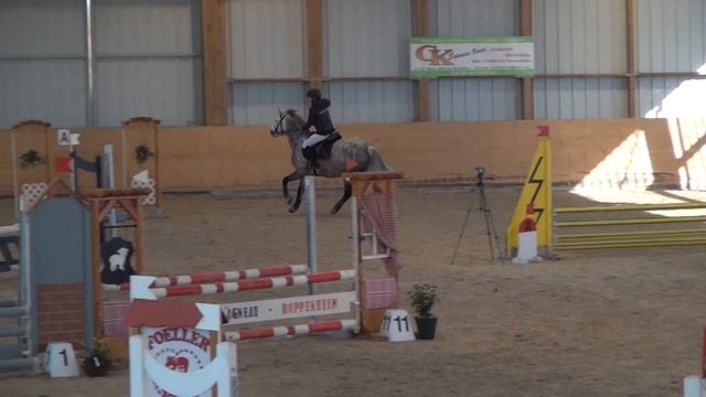 CSO INDOOR CLUBS PONEYS 24022019 : VANESSA et DIVA PONEY 2 GP смотреть онлайн