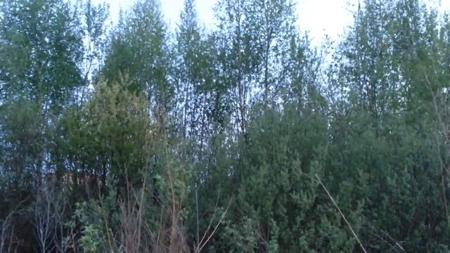 Полоцк Р-н Аэропорт Соловьи смотреть онлайн
