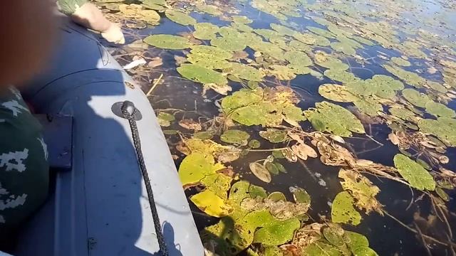 VID 20190901 101247 смотреть онлайн