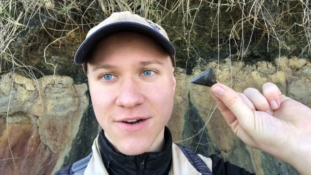 Stunning Chubutensis! | Shark Tooth Hunting смотреть онлайн
