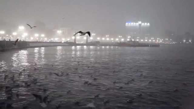 Залипательное видео / Снег / Набережная Новороссийска / Чайки / Крейсер Кутузов смотреть онлайн