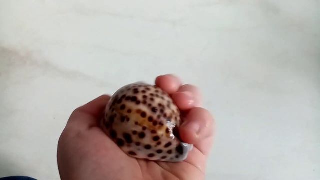 Аквариум для рыбок гуппи! 🐟 смотреть онлайн