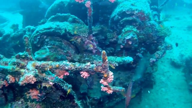 Angaga August 2014 Maldives Diving смотреть онлайн