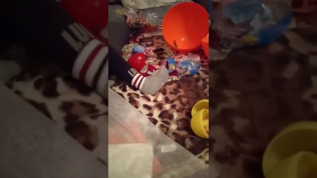 Распаковка Dino Wow Box смотреть онлайн