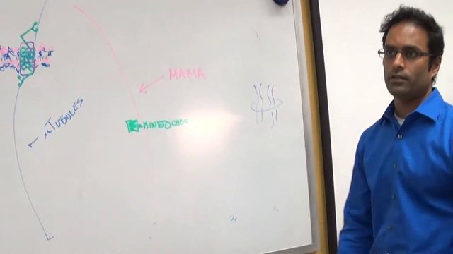 Mechanisms of Cancer: Basic DNA Structure on the Board смотреть онлайн
