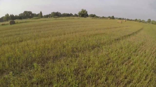 Глупий припутень смотреть онлайн