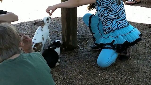 Sneezing Bunny and Leapin' Lemurs! смотреть онлайн