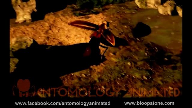 Firefly Video Game Proof of Concept Demo смотреть онлайн