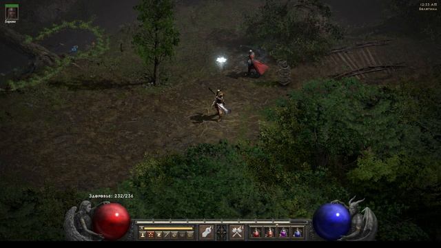 Diablo II Resurrected #33