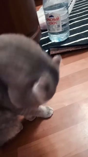 20 декабря 2023 г. смотреть онлайн