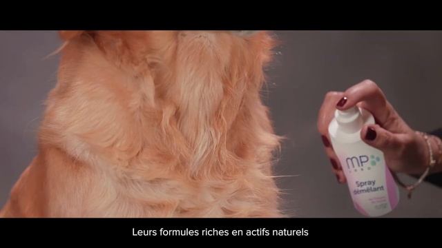 MP Labo - Shampoing démêlant et Spray démêlant смотреть онлайн