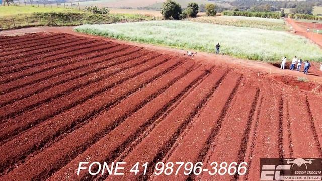 PULVERIZAÇÃO COM DRONE DJI AGRAS T10, MARINGÁ, 07 de Julho de 2022 смотреть онлайн