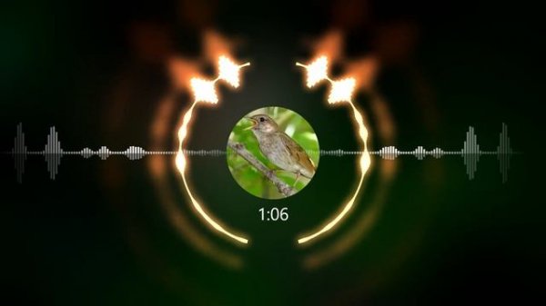 Soloway beat(хит от соловья) #soloway #beats