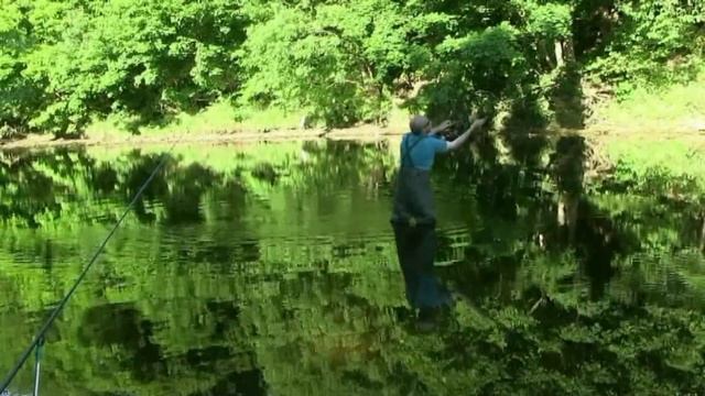 Catching ten species on the river Wharfe. Boston Spa. смотреть онлайн