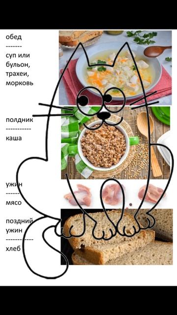 Профилактика МКБ ХПН рака кариеса рвоты у кошек Натуральное питание Диета #кот #чудо #спасение смотреть онлайн