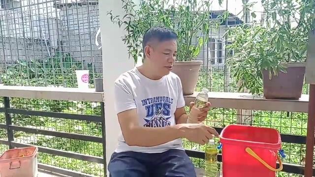 Pagkain ng Halaman sa Hydroponics смотреть онлайн