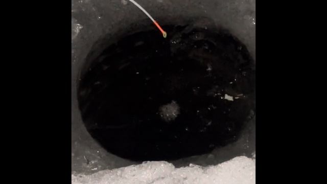 ПРИЕХАЛИ НА БУРАНЕ НА ОСТРОВ РЫБА КЛЮЁТ НА УРА 😀🎣 смотреть онлайн