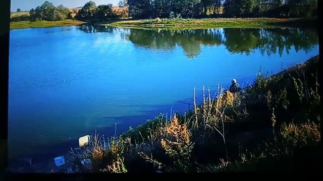 Ловим линя и карася смотреть онлайн