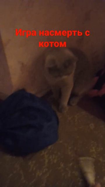 Игра насмерть с котом но сода довно умерла смотреть онлайн