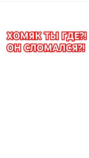 Не работает Hamster Kombat #hamsterkombat смотреть онлайн