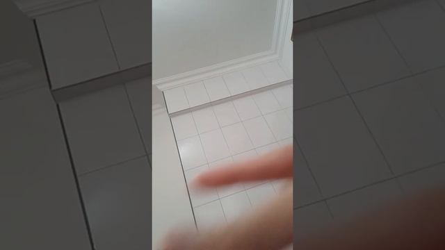 идём с бум на прогулку Утка лалафан смотреть онлайн