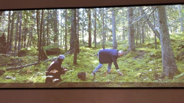 The values of The National Nordic Museum, briefly stared. смотреть онлайн