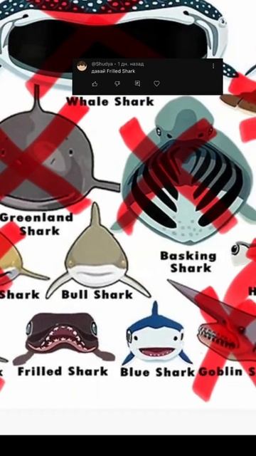 Frilled Shark/по просьбе/Еще больше фактов у нас в тгк #акулы смотреть онлайн