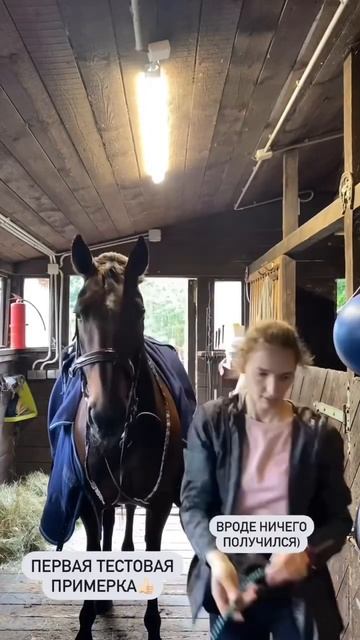 Шью налобник. Часть 1 #horse #rider #конныйспорт #лошади #equestrian #налобник #длялошади #туториал смотреть онлайн