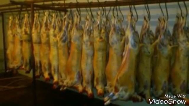 МИЯСА ХАЛЯЛЬ ГУШТИ ҲАЛОЛ 89663085151 смотреть онлайн