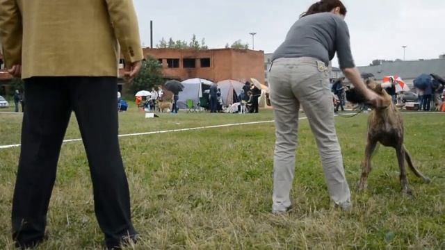 ПЭРЭ МОДЖЕС БЕЛИССИМА ГРАЦИЯ смотреть онлайн