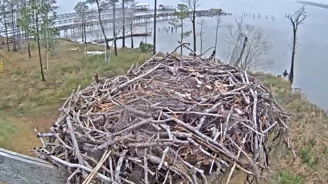 Live Camera Axis Q1615 Mk II смотреть онлайн