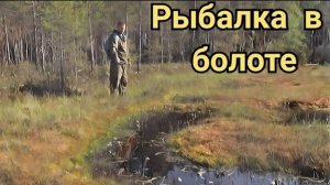 Рыбалка по "окошкам" в болоте.