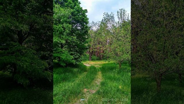 У весны руки теплые. смотреть онлайн
