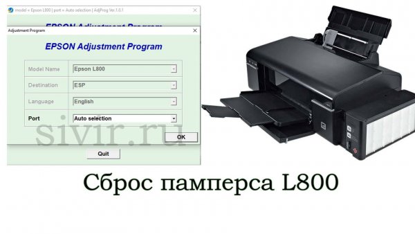 Сброс памперса Epson L800 Adjustment Program