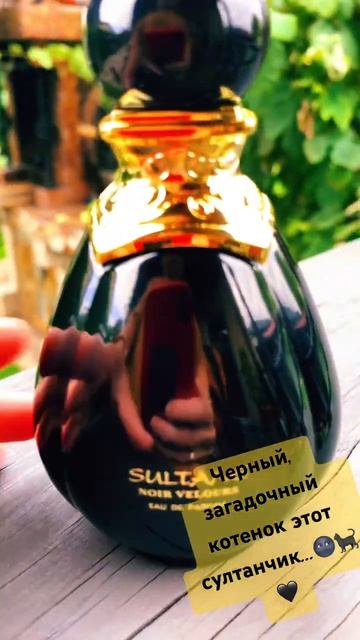 Jeane Arthes Sultane Noir Velours! #парфюмерия #люблюдухи #парфманьяк #jeannearthes смотреть онлайн