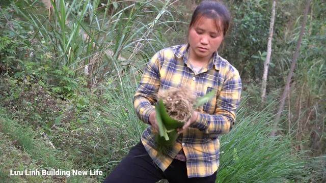 Harvest Agricultural Products, Ant Eggs, Vegetables On The Farm, Bring To Market Sell